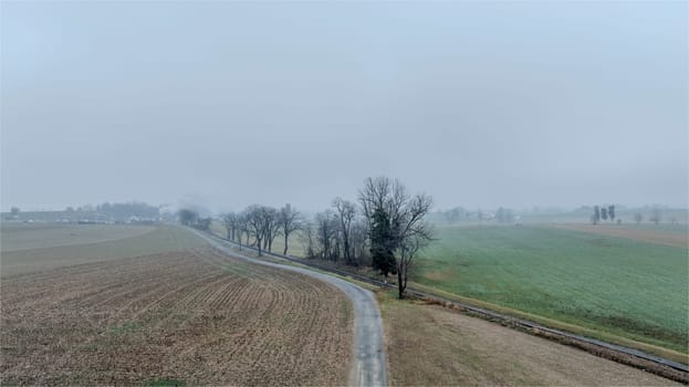 A serene rural road cuts through freshly tilled fields under a blanket of morning fog, revealing trees silhouetted against the hazy backdrop. Nature awakens softly in springtime.