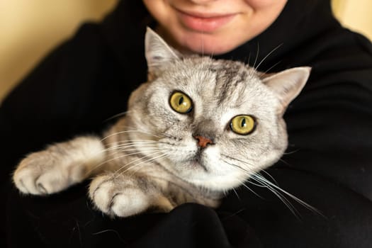 A woman in a black hoodie holds a gray and white cat with yellow eyes. The cat is looking directly at the camera.
