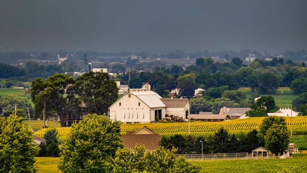 The setting showcases a charming white farmhouse nestled among vibrant cornfields under a cloudy sky, creating a tranquil rural atmosphere during the evening.