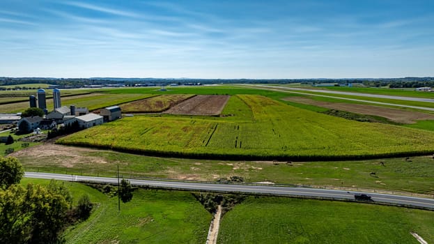 A wide view of lush farmland showcases vibrant green and brown fields, with silos dotting the landscape under a bright blue sky. This serene location reflects rural agricultural life.