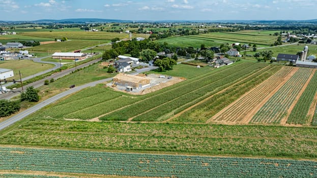An expansive rural landscape shows vibrant farming fields and a small community. The sun shines over crops, with a few buildings visible in the distance against a clear sky.