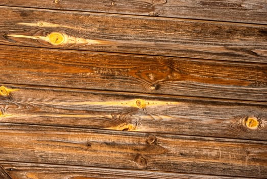 Abstract wood texture with the wood's grain.