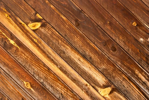 Abstract wood texture with the wood's grain.