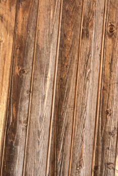 Abstract wood texture with the wood's grain.