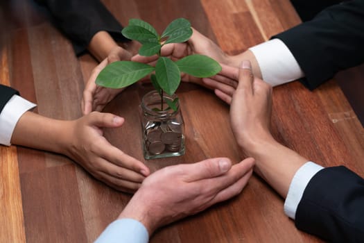 Business people holding money savings jar together in synergy filled with coin and growing plant for sustainable financial for retirement or eco subsidy investment for environment protection. Quaint