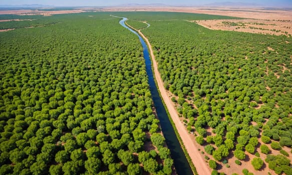 An aerial view of a forest with many green trees. A narrow canal runs through the center of the image.