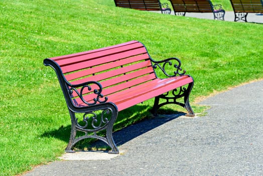 Nice looking bench on green lawn background in a recreation park.