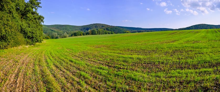 HDR panorama of landscape. czech republic - europe. Beautiful image of nature. Meadow and field with forest. Concept for environment, agriculture and ecology. 
