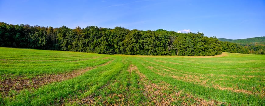 HDR panorama of landscape. czech republic - europe. Beautiful image of nature. Meadow and field with forest. Concept for environment, agriculture and ecology. 
