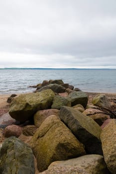 beach with rocks in denmark with lot of green plants and trees trelde naes at the kattegat water