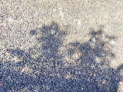 Tree shadows fall on a textured gravel path under bright sunlight.