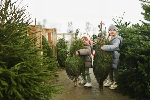 Children choose for buying a Christmas tree in the market.