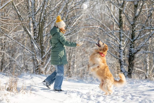Little Girl Golden Retriever, Who Jumps In Winter Forest, Plays With Snow In Snow-Covered Forest