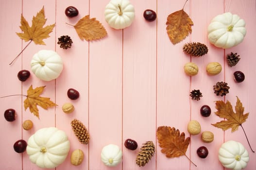 Elements of autumn decor are laid out on a pink background - white decorative pumpkins, yellow leaves, walnuts and chestnuts