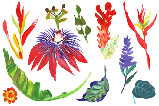 Collection of tropical flowers branches and leaves painted with bright colors with a dry brush isolated on a white background