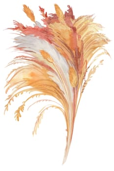 beige pampas grass bush painted in watercolor isolated on white background for boho style design