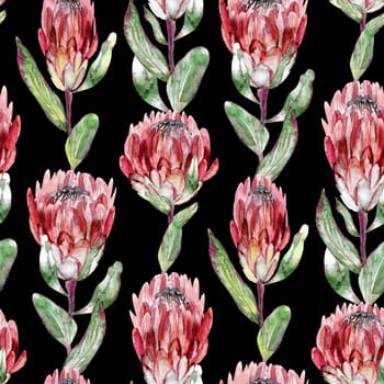 Watercolor seamless pattern with vertical protea flowers on black background for summer textile and wall design