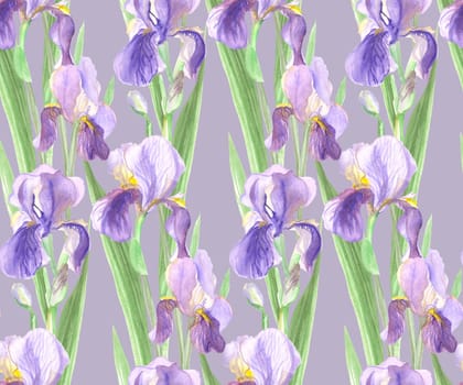 floral pattern with watercolor lilac iris flowers on gray background for surface design