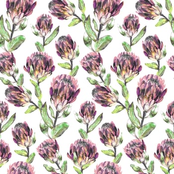 Seamless monochrome watercolor pattern with protea flowers for textile and surface design