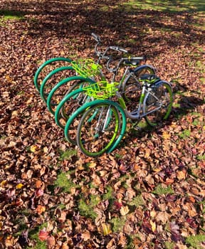 Green bycicles in recreational park on autumn season