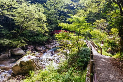 The magnificent Ryujin Falls and iconic red bridge at the start of autumn in Nakatsugawa City, near Sakashita in Japan