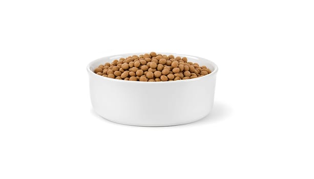 Blank white ceramic dog bowl with snack mockup, front view. High quality photo.