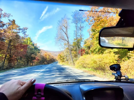 Car salon, windshield, hand of woman on steering wheel and landscape. View from seat of driver on nature at sunny day. Single trip of female traveler