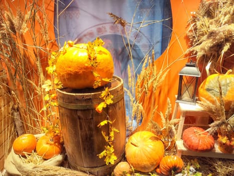 A seasonal arrangement features pumpkins, dried grass, and a lantern against a colorful backdrop.