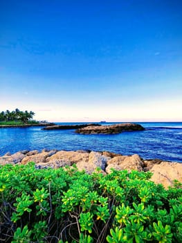 In Ko Olina, Hawaii, a vibrant green bush grows by the rocky lagoons edge with clear blue water, a bright sky, and a rising sun, creating a warm atmosphere.