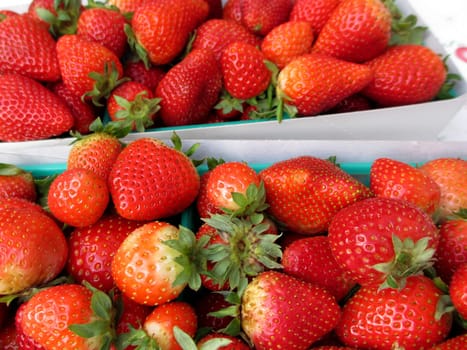 Baskets filled with an abundance of bright red strawberries, reflecting their juicy quality under the warm summer sunlight at a bustling farmers market.