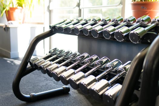 old active personal isolated lifestyle muscles lbs kg pair lift pickup metal membership