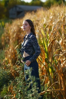 In a serene rural cornfield, a young woman stands gracefully, exuding tranquility in her stylish outfit, which harmonizes perfectly with the sunkissed golden hues of the harvest that envelops her