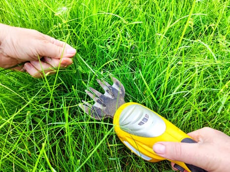 A handheld tool is used to trim grass in a residential yard, ensuring the lawn looks well-kept and tidy on a bright day.