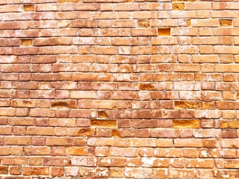 The weathered brick wall exhibits a warm red hue with patches revealing its historical charm and unique character.