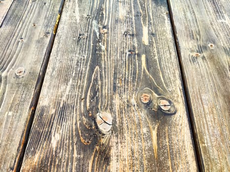 The surface features an array of textures and colors, highlighting the beauty of weathered wood in a natural setting.