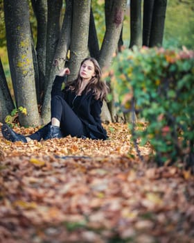 A beautiful girl sits by a tree on fallen leaves in an autumn park