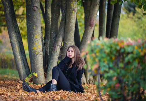 A beautiful girl sits by a tree on fallen leaves in an autumn park