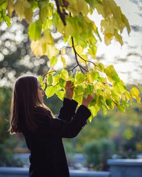 A beautiful girl looks at yellow leaves on a branch in an autumn park