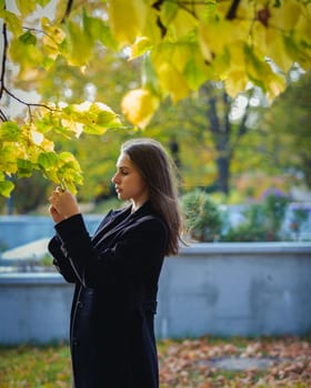 A beautiful girl looks at yellow leaves on a branch in an autumn park