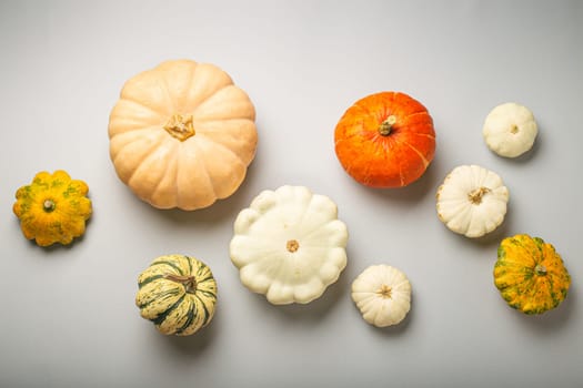 Thanksgiving or fall composition with different assorted pumpkins on light gray background top view..