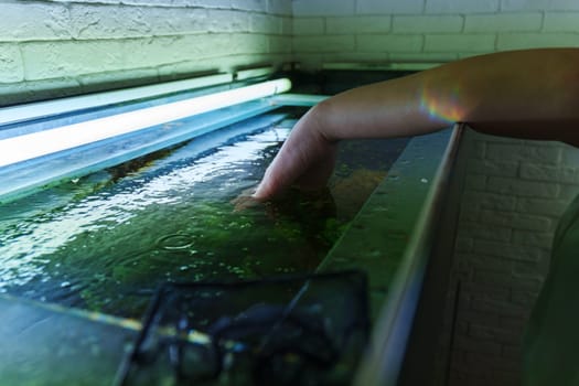 A person gently touches the surface of a vibrant aquarium, exploring the aquatic life beneath the shimmering waters in a serene setting
