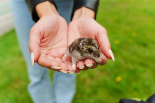 A curious little hamsters rests gently in a child's hand, enjoying a sunny day at the park surrounded by lush green grass