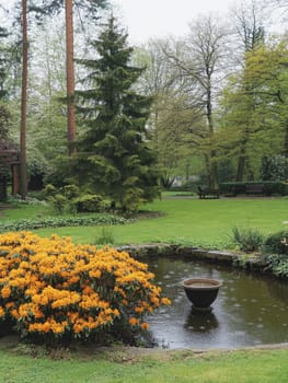 Serene park scene featuring a calm pond with ornamental urn, surrounded by lush greenery and vibrant yellow rhododendron blooms in spring.