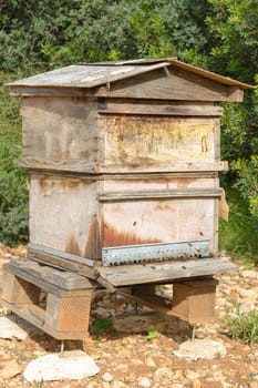 A rustic wooden beehive set against lush green foliage, bee hive in the countryside, beekeeping, nature concept in mallorca, spain balearic islands,