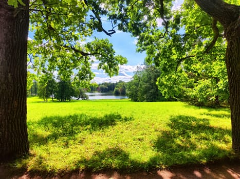 The park features tall trees and vibrant green grass, creating a tranquil atmosphere on a sunny summer day