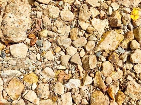 The ground is covered with a variety of stones and gravel, showcasing a natural and textured surface ideal for outdoor settings.