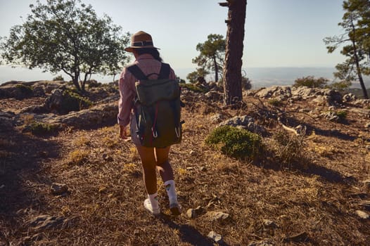 A person with a backpack hikes through a sunlit forest trail, wearing a hat and enjoying nature's tranquility. The setting includes trees and rocky terrain under a clear sky.