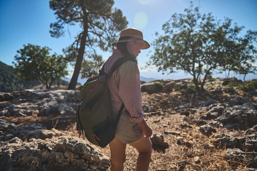 A solo hiker wearing a hat and backpack explores a rugged, rocky terrain on a sunny day. The scenic landscape, with trees and clear skies, suggests a sense of adventure and tranquility.