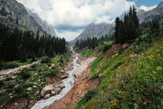 Almaty mountain summer landscape in mountain gorge Tuyuksu, Kazakhstan - nature of central asia, Scenic mountain river.
