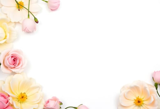A beautiful arrangement of white and pink spray roses against a white background, creating a soft and elegant floral display. Perfect for romantic and decorative designs